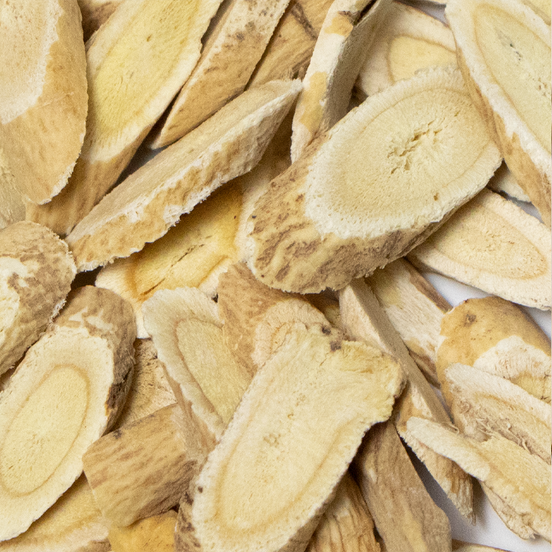 Astragalus: From an Emperor’s Tonic to a Modern Cellular Guardian